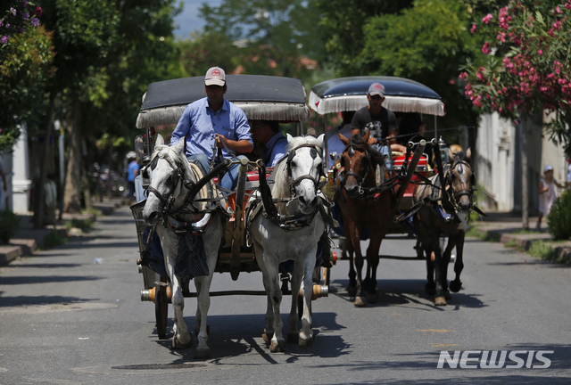 [AP/뉴시스] 터키 이스탄불 인근의 관광지 섬 부유카다에서 2018년 7월 말들이 관광객들을 태운 코치를 끌고 있다. 2019. 12. 19.