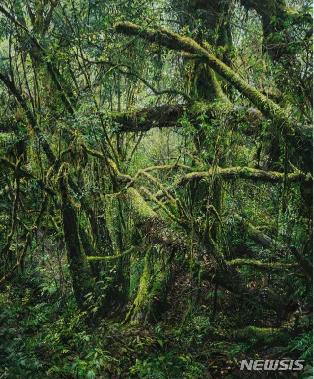 [서울=뉴시스] 노경희, 2019_02 2019 종이에 파스텔 pastel on paper 72.5x56.5cm