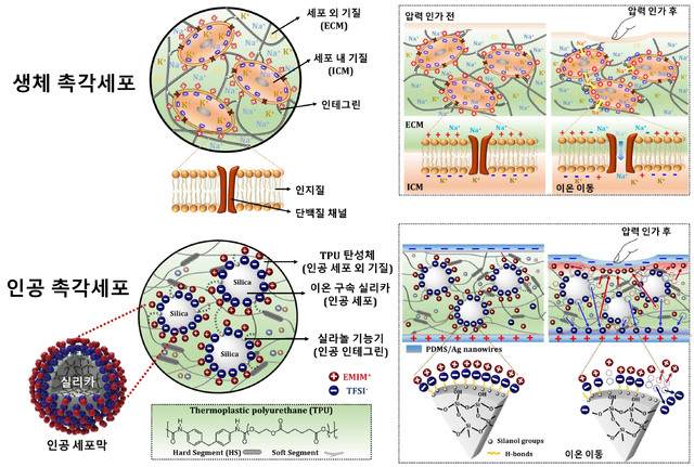 1월 과학기술인상에 한양대 김도환 교수 선정