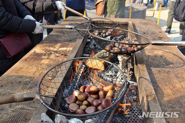 【세종=뉴시스】지난 2019년 열린 공주 군밤 축제에서 방문객이 그릴존에서 군밤을 굽고 있다.