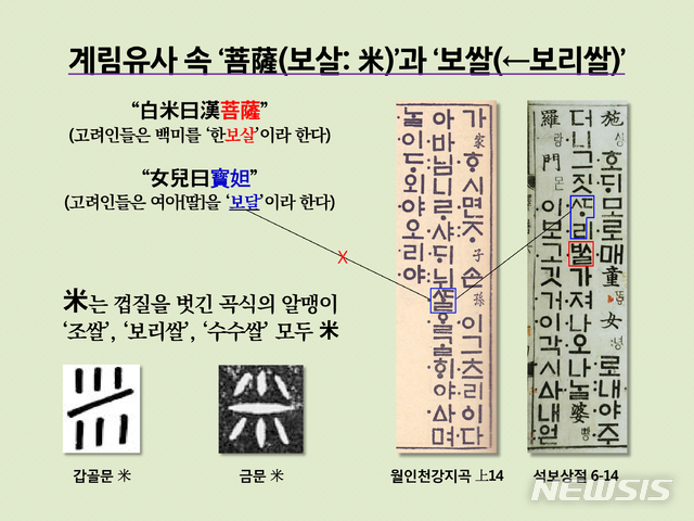 [서울=뉴시스] 북송 때 ‘계림유사(1103)’에 보이는 “白米曰漢菩薩”의 ‘보살’은 ‘米’를 지칭한 고려어. ‘米’는 껍질을 벗긴 곡식의 알멩이로 ‘좁쌀, 보리쌀’ 등을 나타냄.