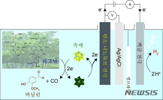 리그닌 분해를 통한 부산물 생산과 수소 발생 반응의 모식도