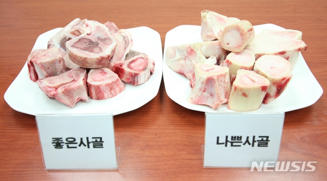 [세종=뉴시스] 좋은 사골과 나쁜 사골(사진=농촌진흥청)