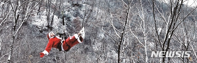 자연휴양림의 짚라인.