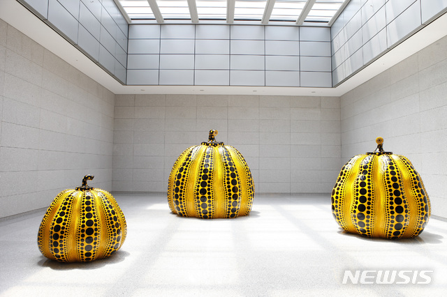 [대구=뉴시스] 배소영 기자 = 쿠사마 야요이 '호박(2013)'. (사진=대구미술관 제공) 2020.01.22. photo@newsis.com
