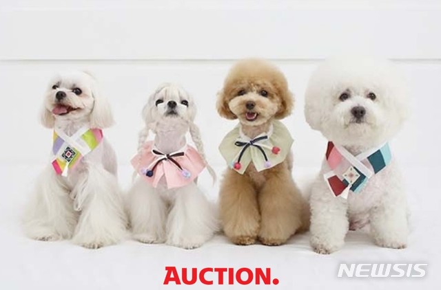 [서울=뉴시스] 옥션에서 판매중인 이츠독의 애견 한복