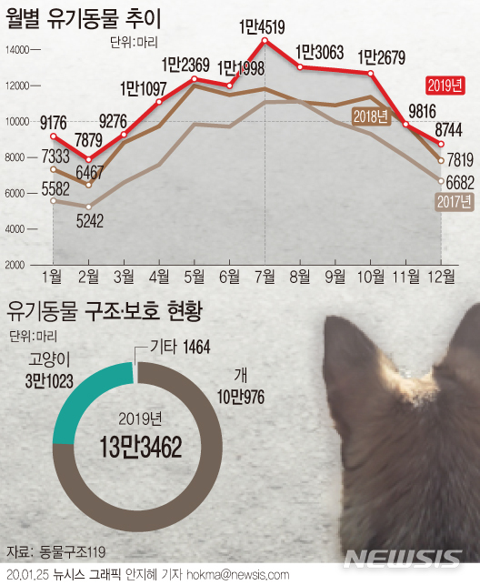 반려동물, 명절마다 많이 버려진다?…사실은 아니었다