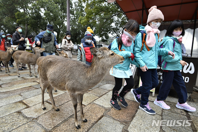 [나라=AP/뉴시스]29일 일본 나라현 나라 공원에서 마스크를 쓴 어린이들이 사슴 옆을 지나고 있다. 2020.01.29.