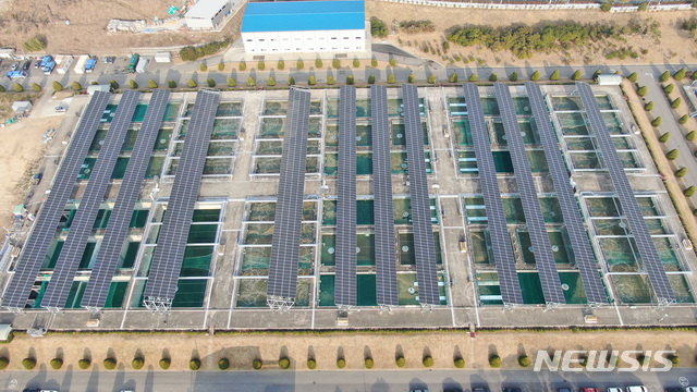 전남 여수시 신월동 하수종말처리장 생활반응조 상단에 설치된 태양광 발전설비
