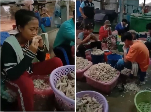 [서울=뉴시스] '우한 폐렴(신종 코로나바이러스 감염증)'의 공포가 전 세계로 퍼진 가운데 태국의 한 닭 가공 공장에서 직원들이 입으로 닭발의 살을 발라내는 영상이 공개돼 논란이 일고 있다. 태국 경찰 당국은 "공장은 아무런 법적 위반을 저지르지 않았다"며 주의 조치 명령만을 내렸다고 29일(현지시간) 태국 온라인 매체 카오솟은 전했다. (사진=태국 카오솟 캡처) 2020.1.30.