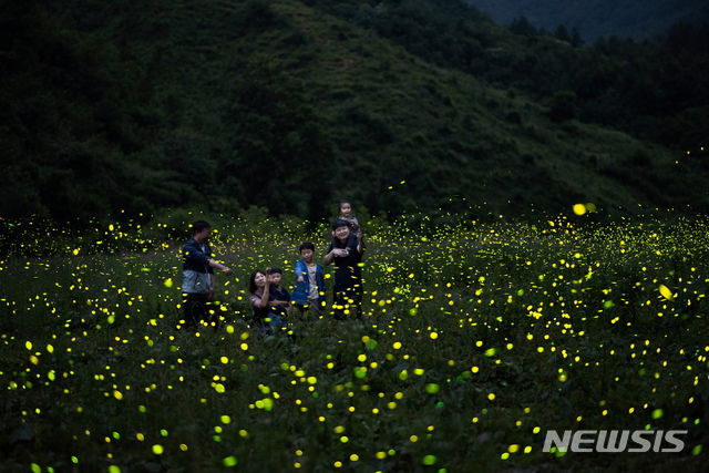 [무주=뉴시스] 한훈 기자 = 전북 무주군 반딧불이 서직지.(사진=무주군 제공). photo@newsis.com 