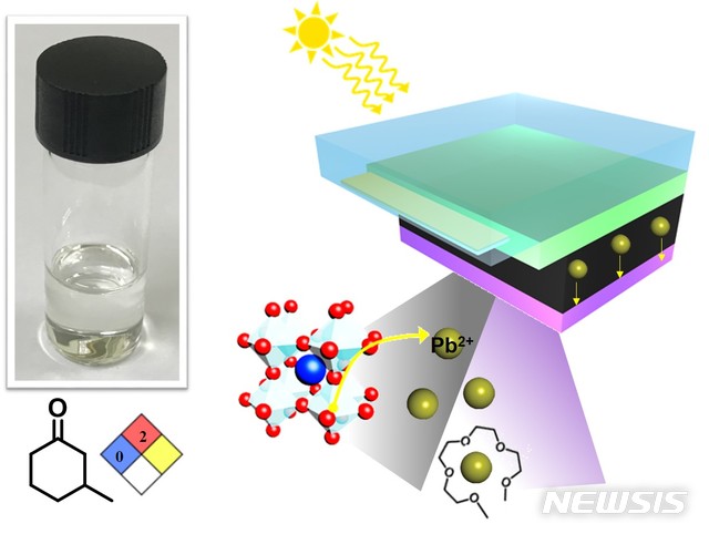 포스텍 연구팀, 납 누출 막는 정공전달 고분자 물질 개발