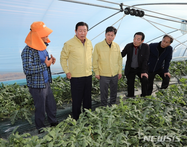 [함안=뉴시스] 조근제 함안군수, 수박피해 현장서 직접 피해상황 점검. (사진=함안군 제공). 2020.02.14. photo@newsis.com
