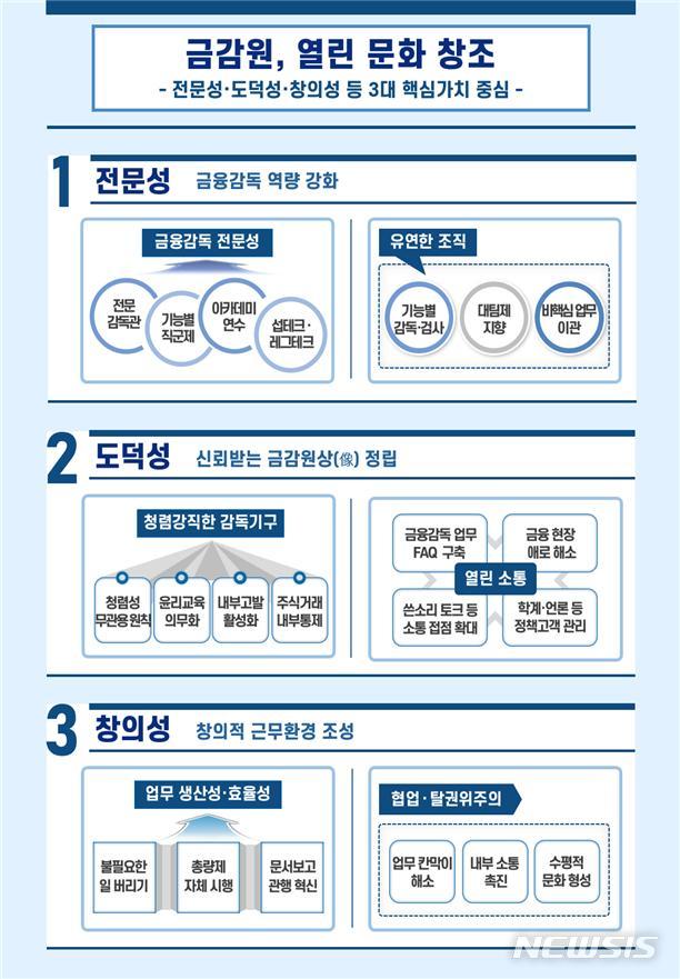 금감원, 검사·조사 전문감독관 제도 도입키로