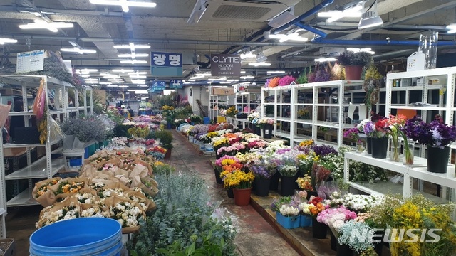 [대구=뉴시스]김정화 기자 = 신종 코로나바이러스 감염증(코로나19)의 여파가 대구 전통시장에도 미치며 지역경제가 급속히 얼어붙고 있다. 사진은 대구꽃백화점 내부. 2020.02.024. jungk@newsis.com
