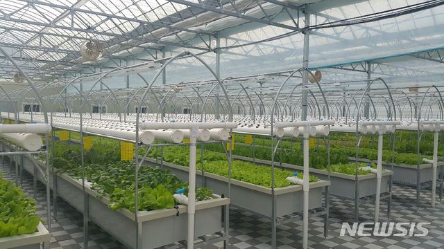 전북 고창군 성내면 아쿠아포닉스 농장 전경.