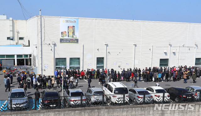 "6시간 기다려 마스크 3장 구매" 분통 터진 제주도민