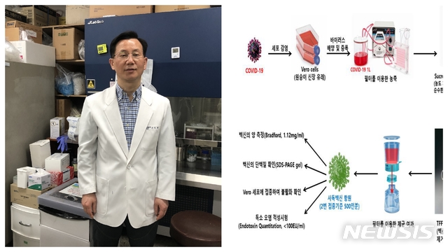 충남대 서상희 교수와 코로나바이러스-19 백신 항원 생산 모식도
