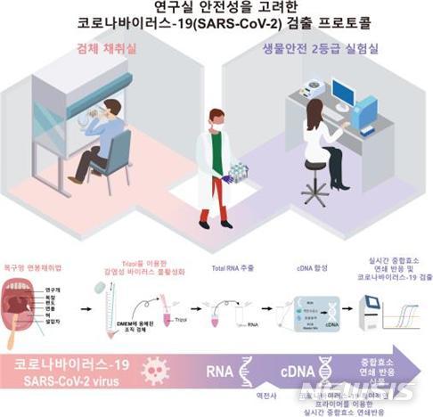 [대전=뉴시스] 신종 코로나바이러스 감염증(코로나19)의 감염여부를 실험실에서 신속히 확인할 수 있는 기술이 IBS에 의해 개발됐다. 무증상자를 타킷으로 하는 이번 기술은 진단비용은 1만8000원 미만이고 소요 시간은 4시간 이내다.