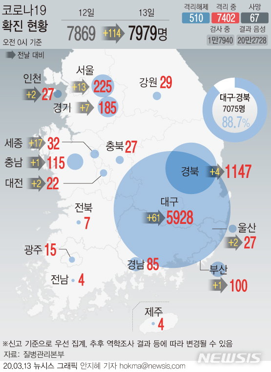 [서울=뉴시스]13일 오전 0시 기준 국내 코로나19 확진 환자가 7979명이다. 새로 확인된 환자 110명은 지역별로 대구 61명, 세종 17명, 서울 13명, 경기 7명, 경북 4명, 인천 2명, 대전 2명, 울산 2명, 충남 1명 등이다.(그래픽=안지혜 기자) hokma@newsis.com