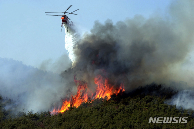 (사진=산림항공본부 제공)