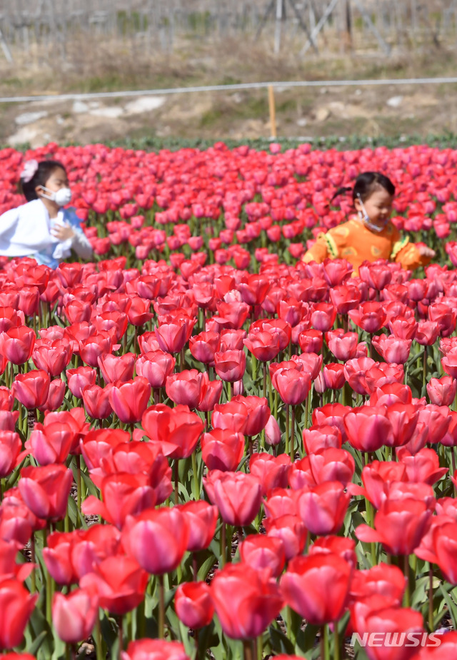 [부산=뉴시스] 해당 사진은 기사 내용과 관련이 없습니다. (사진=뉴시스 DB). photo@newsis.com