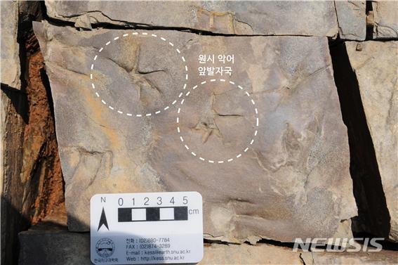 [진주=뉴시스] 진주혁신도시에서 발견된 백악기 악어 발자국 화석표본.