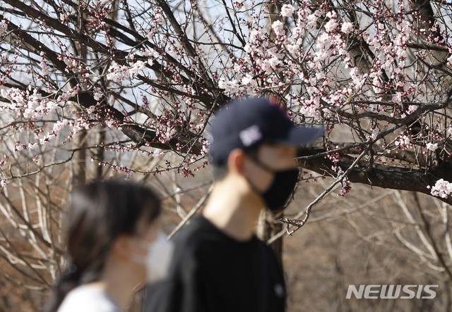 [서울=뉴시스] 박민석 기자 = 마스크를 착용한 커플이 지난 22일 매화가 활짝 핀 서울 성동구 서울숲에서 산책을 하고 있다. 2020.03.22. mspark@newsis.com