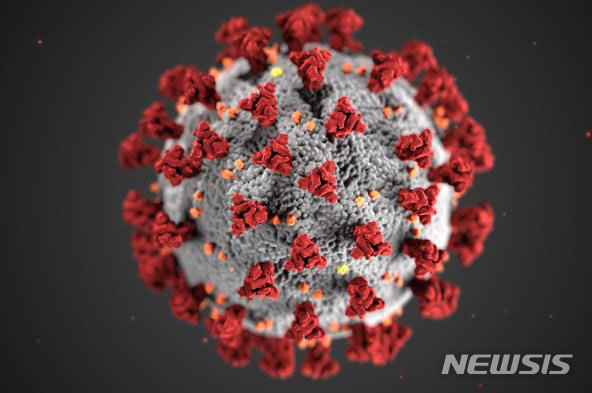 [서울=뉴시스] 코로나 바이러스 스파이크 단백질 입체구조(출처: CDC, Centers for Disease Control and Prevention, 미국 질병통제예방센터)