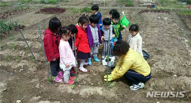[광주=뉴시스] = 광주 남구 양과동 '건강희망텃밭'. (사진=텃밭공동체호미 제공). photo@newsis.com