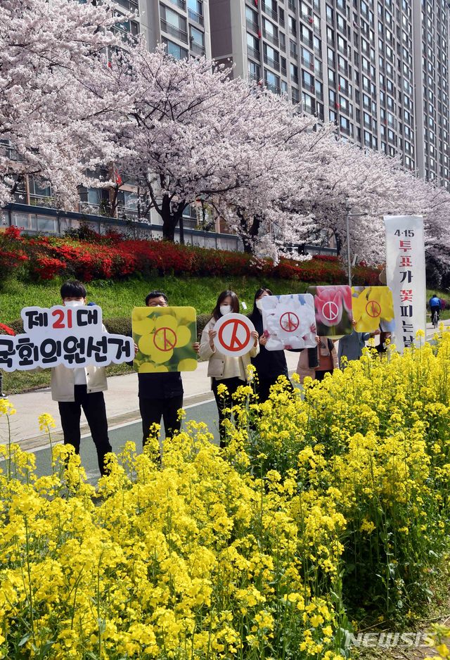 [부산=뉴시스] 하경민 기자 = 제21대 국회의원 선거를 앞두고 29일 오전 부산 동래구 온천천 벚꽃이 만개한 산책로 일대에서 부산시선거관리위원회 직원들이 투표참여를 홍보하는 캠페인을 펼치고 있다. 2020.03.29 yulnetphoto@newsis.com