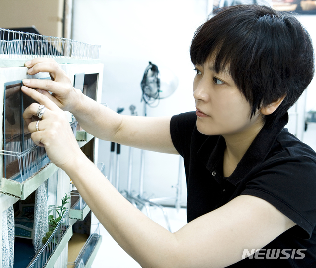 [서울=뉴시스]백희나 작가. 달샤베트 출간 당시 모습. (사진 = 뉴시스DB) 2020.04.01.photo@newsis.com