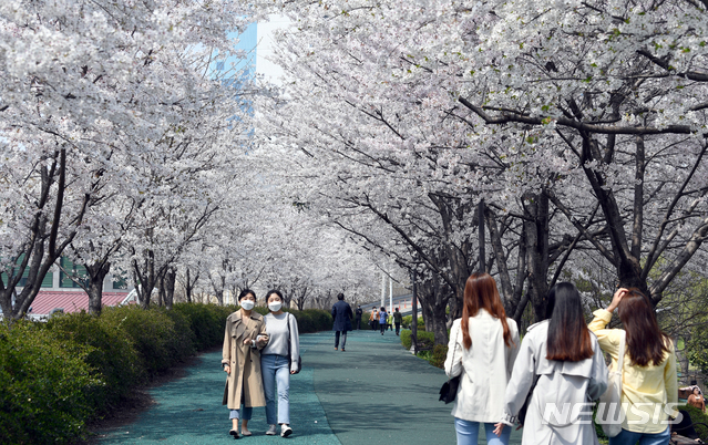 [광주=뉴시스] 류형근 기자 = 1일 오후 광주 북구 양산제 벚꽃길에서 시민들이 산책을 하고 있다. 질병관리본부에 따르면 2일 30대에서도 신종 코로나 바이러스 감염증(코로나19) 확진환자가 발생했다. 전문가들은 재충전은 하되 다수가 밀집하는 장소 방문은 피해야 한다고 조언한다. 2020.04.01.&nbsp; hgryu77@newsis.com