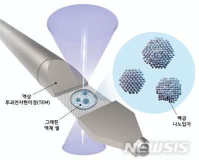 [대전=뉴시스] 개별 나노입자의 3차원 증명사진 촬영 과정. IBS 연구진은 백금(Pt) 나노입자를 자체 개발한 그래핀 액체 셀에 담은 뒤 액상 투과전자현미경으로 개별 나노입자의 3차원 증명사진을 촬영했다. 