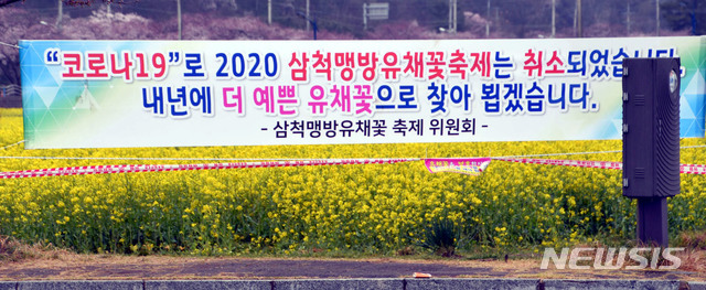 신종 코로나바이러스 감염증(코로나19) 확산 예방을 위해 2020 삼척맹방유채꽃축제 취소를 알리는 현수막. (사진=삼척시청 제공) 