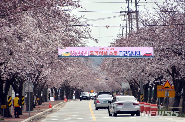 [강릉=뉴시스] 신종 코로나바이러스 감염증(코로나19) 확산 예방을 위해 2020 삼척맹방유채꽃축제 취소를 알리는 현수막. (사진=삼척시청 제공) 