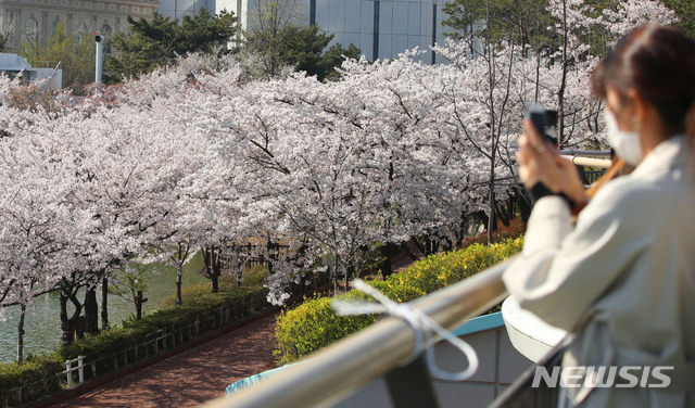 [서울=뉴시스] 박미소 기자 = 신종 코로나바이러스 감염증(코로나19)의 여파로 폐쇄 조치가 내려진 서울 송파구 잠실 석촌호수 공원 벚꽃길이 텅 비어있다.2020.04.05.&nbsp; misocamera@newsis.com