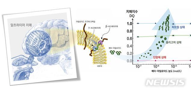 [대전=뉴시스] IBS 연구단이 발명한 '치매지수(DQ)'. 왼쪽은 뇌에서 신경세포 밖으로 배출되는 치매 단백질 베타-아밀로이드(Aβ42)고 오른쪽은 베타-아밀로이드의 섬유화 단계를 0과 1사이의 값으로 표시한 치매지수(DQ)다.