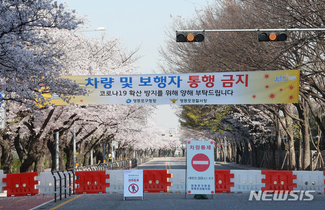 [서울=뉴시스] 장세영 기자 = 코로나19 영향으로 여의도 윤중로 벚꽃축제가 전면 취소된 6일 서울 여의도 윤중로 벚꽃길이 출입통제 되고 있다. 2020.04.06.&nbsp; photothink@newsis.com