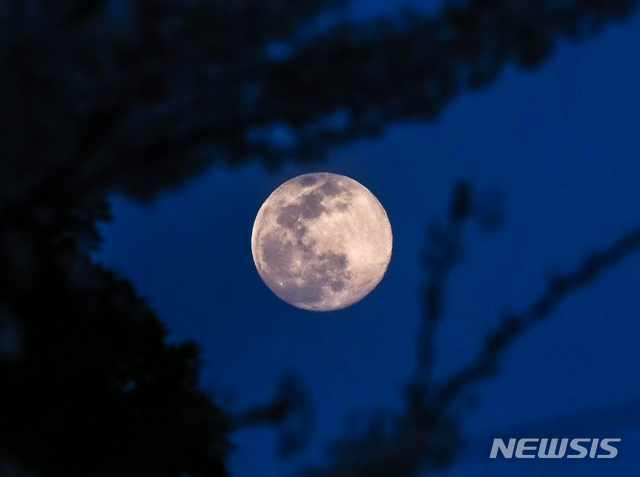 [제주=뉴시스]우장호 기자 = 지난 2020년 4월 제주시 노형동 하늘에 지구와 달의 거리가 가장 가까울 때 관측되는 일명 '슈퍼문'이 떠올라 시선을 사로잡고 있다. 2020.04.07. woo1223@newsis.com