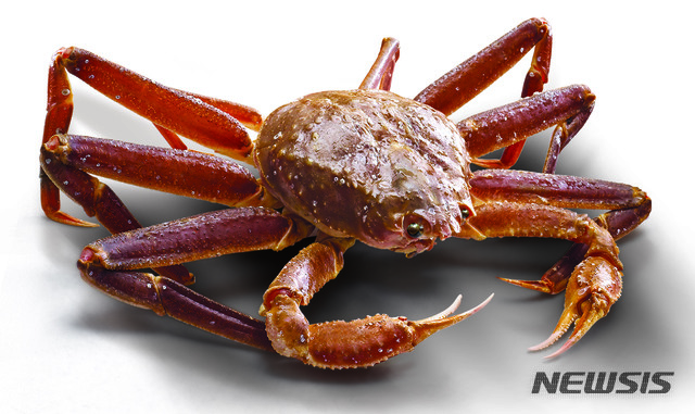 [서울=뉴시스] 러시아산 대게. (사진=이마트 제공)