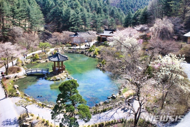 아침고요수목원 서화연.