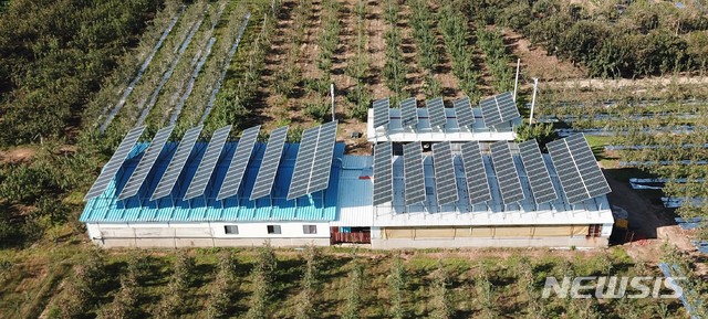 [안동=뉴시스] 축사 지붕에 설치된 태양광 발전 시설. 2020.04.14