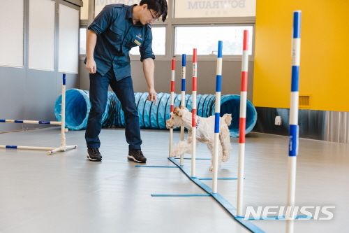 [서울=뉴시스] 서울 성동구 반려견 트레이닝 교육 모습. (사진=성동구 제공) 2020.04.16.photo@newsis.com 