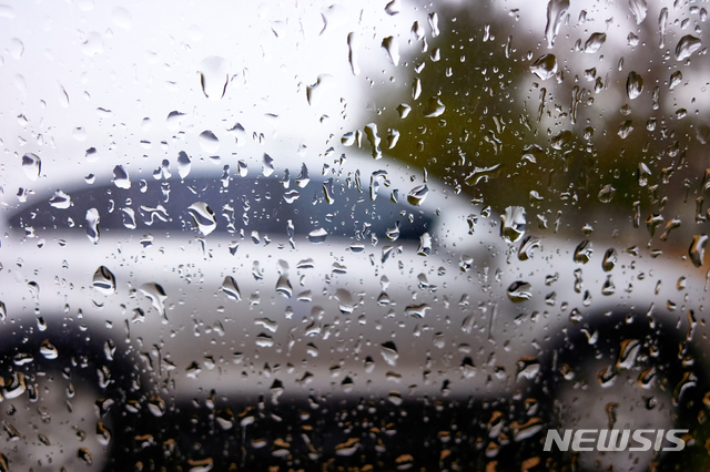 기사 중 특정내용과 무관함