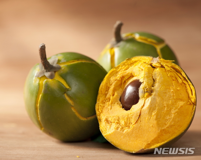 [서울=뉴시스] 루쿠마.(사진=페루관광청 제공) 2020.4.21 photo@newsis.com