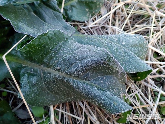 '찬바람 쌩' 출근길 기온 뚝…서울 체감온도 0도