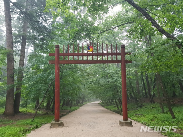 [서울=뉴시스] 광릉 숲길.(사진=국가유산청 제공) 2020.4.27 photo@newsis.com