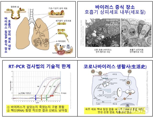 [세종=뉴시스]코로나19 바이러스 실시간 유전자 증폭 검사(RT-PCR) 검사법의 기술적 한계 등. (그래픽=신종감염병 중앙임상위원회 제공) 2020.04.29. photo@newsis.com
