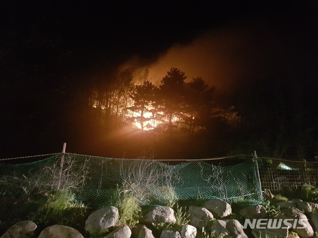 1일 고성산불. (사진=동부지방산림청 제공)